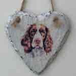 Water Colour Paint Effect Slate Heart - Dog Breeds - Springer Spaniel