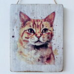 Water Colour Paint Effect Plaque - Cat Breeds - Ginger