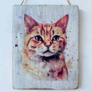 Water Colour Paint Effect Plaque - Cat Breeds - Ginger