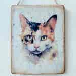 Water Colour Paint Effect Plaque - Cat Breeds - Tortoiseshell