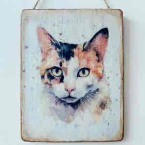 Water Colour Paint Effect Plaque - Cat Breeds - Tortoiseshell