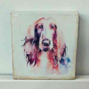 Water Colour Paint Effect Plaque - Dog Breeds - Afghan Hound
