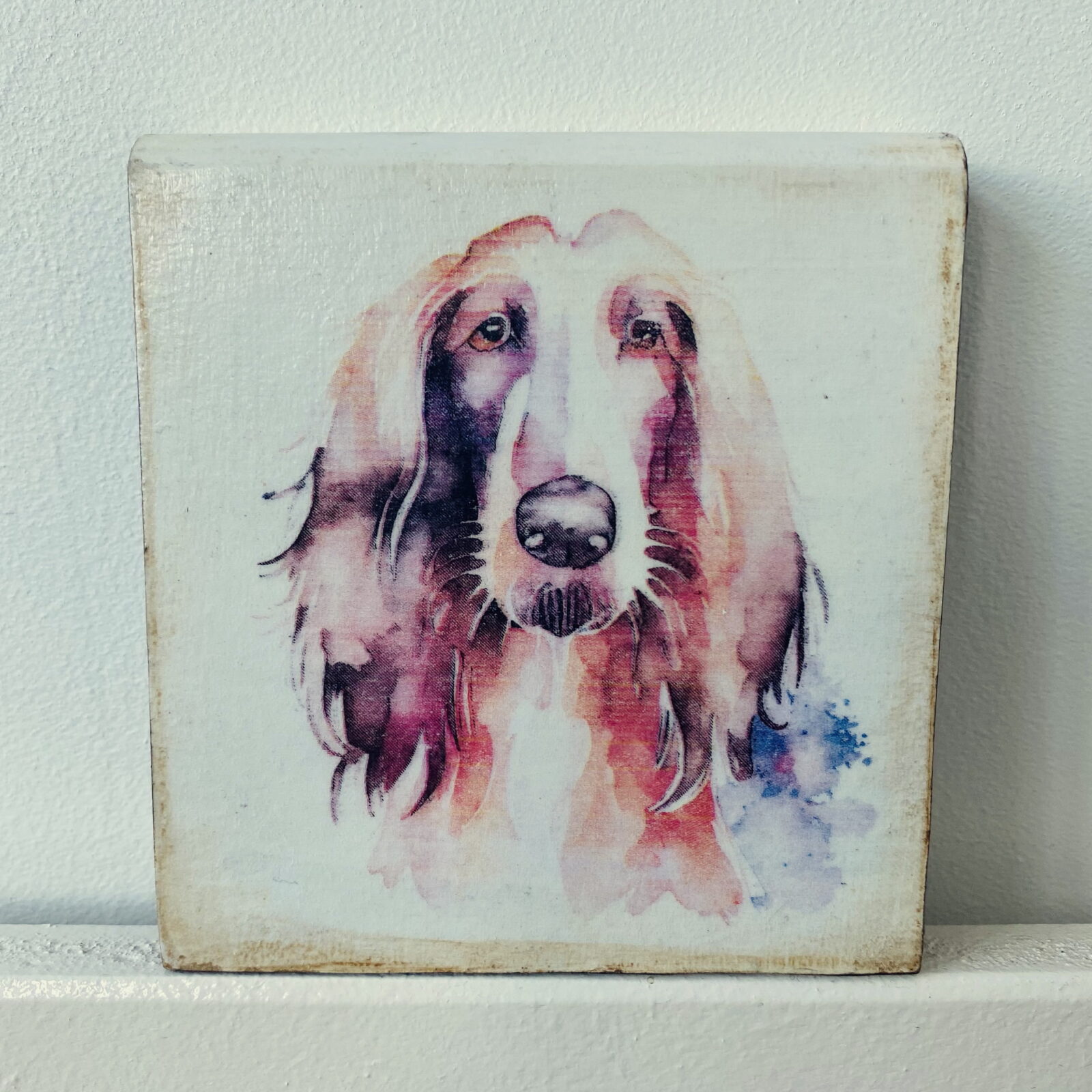 Water Colour Paint Effect Plaque - Dog Breeds - Afghan Hound