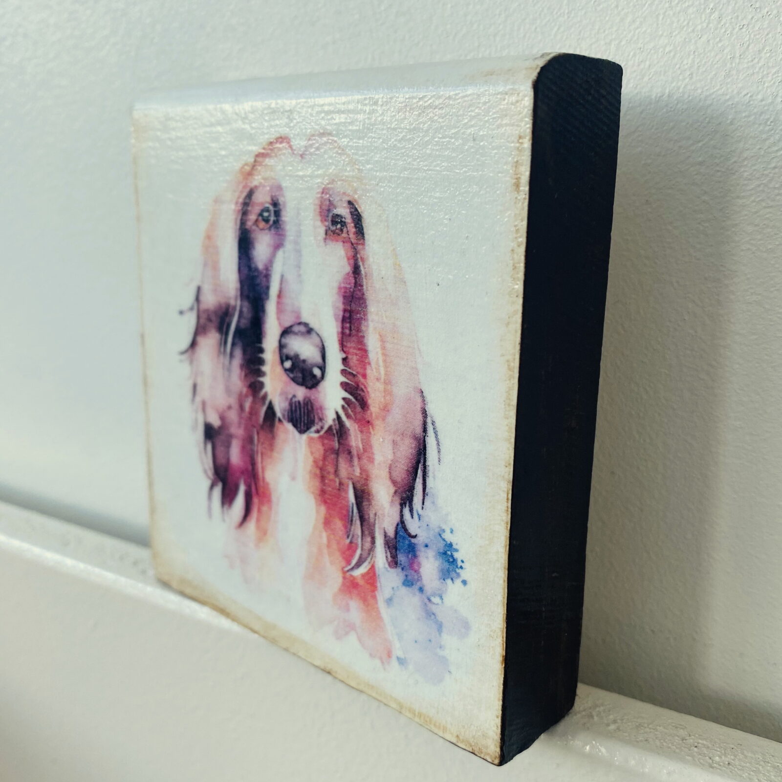 Water Colour Paint Effect Plaque - Dog Breeds - Afghan Hound - Image 2