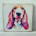 Water Colour Paint Effect Plaque - Dog Breeds - Basset Hound