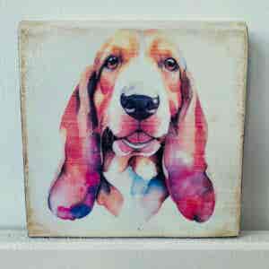 Water Colour Paint Effect Plaque - Dog Breeds - Basset Hound