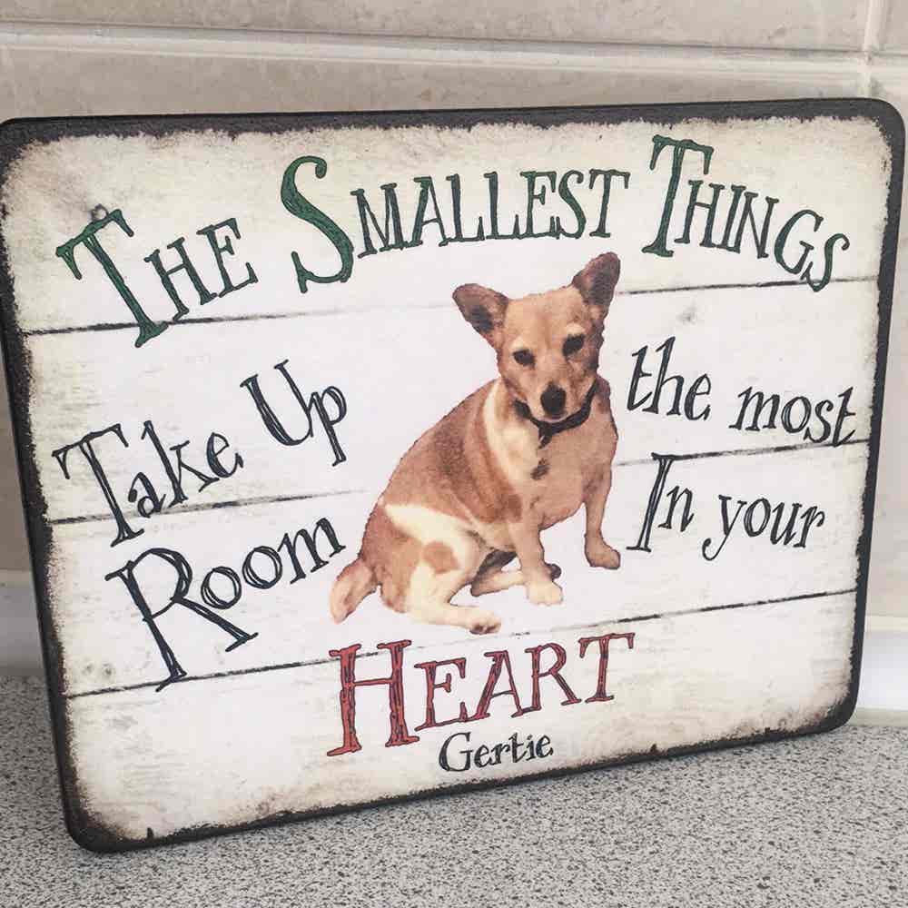 Personalised Pet Plaque - 'The Smallest Things........ - Image 7