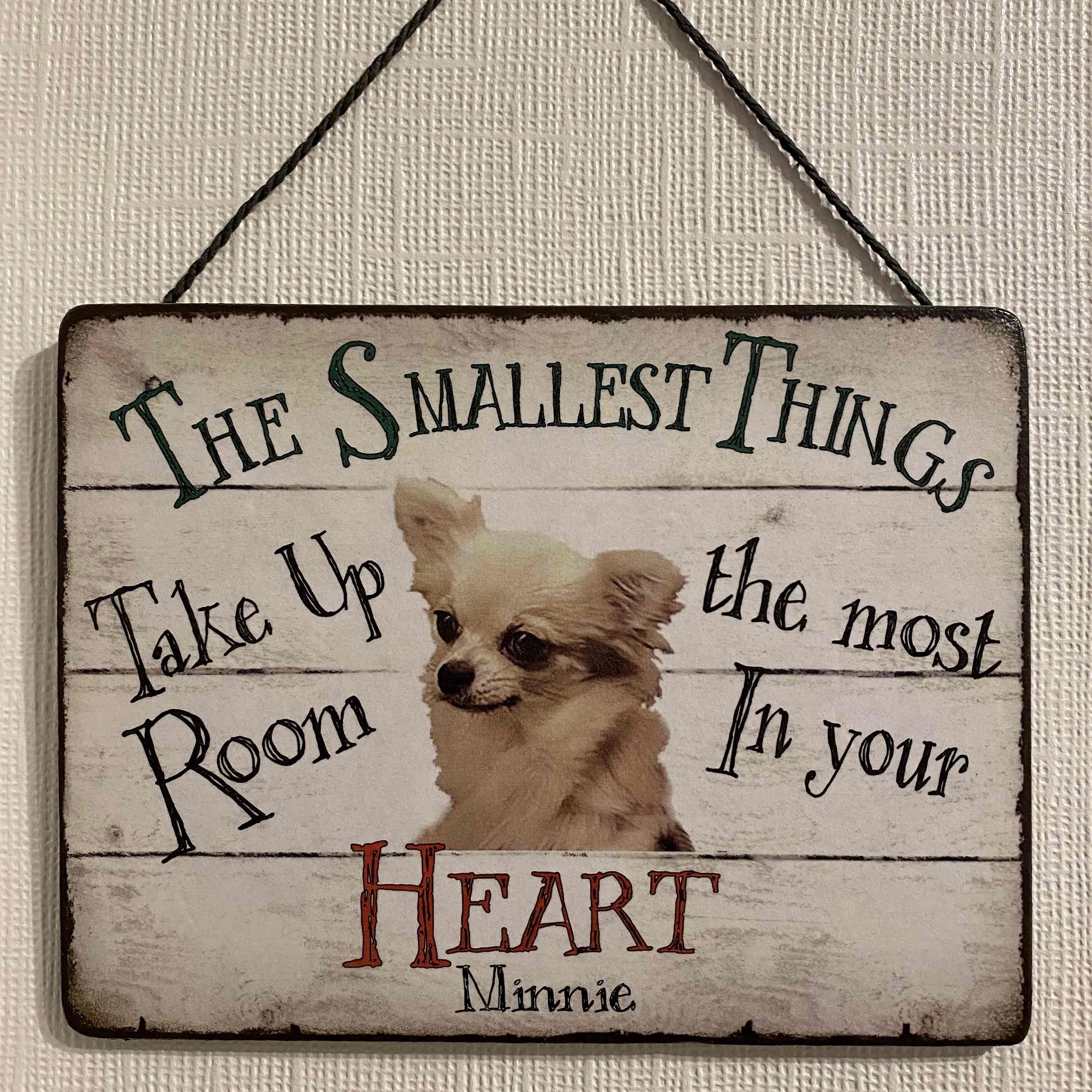 Personalised Pet Plaque - 'The Smallest Things........ - Image 5