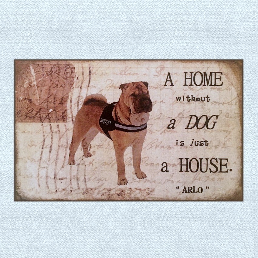 Personalised Pet Plaque - 'A Home Without ......... is Just a House'. - Image 8