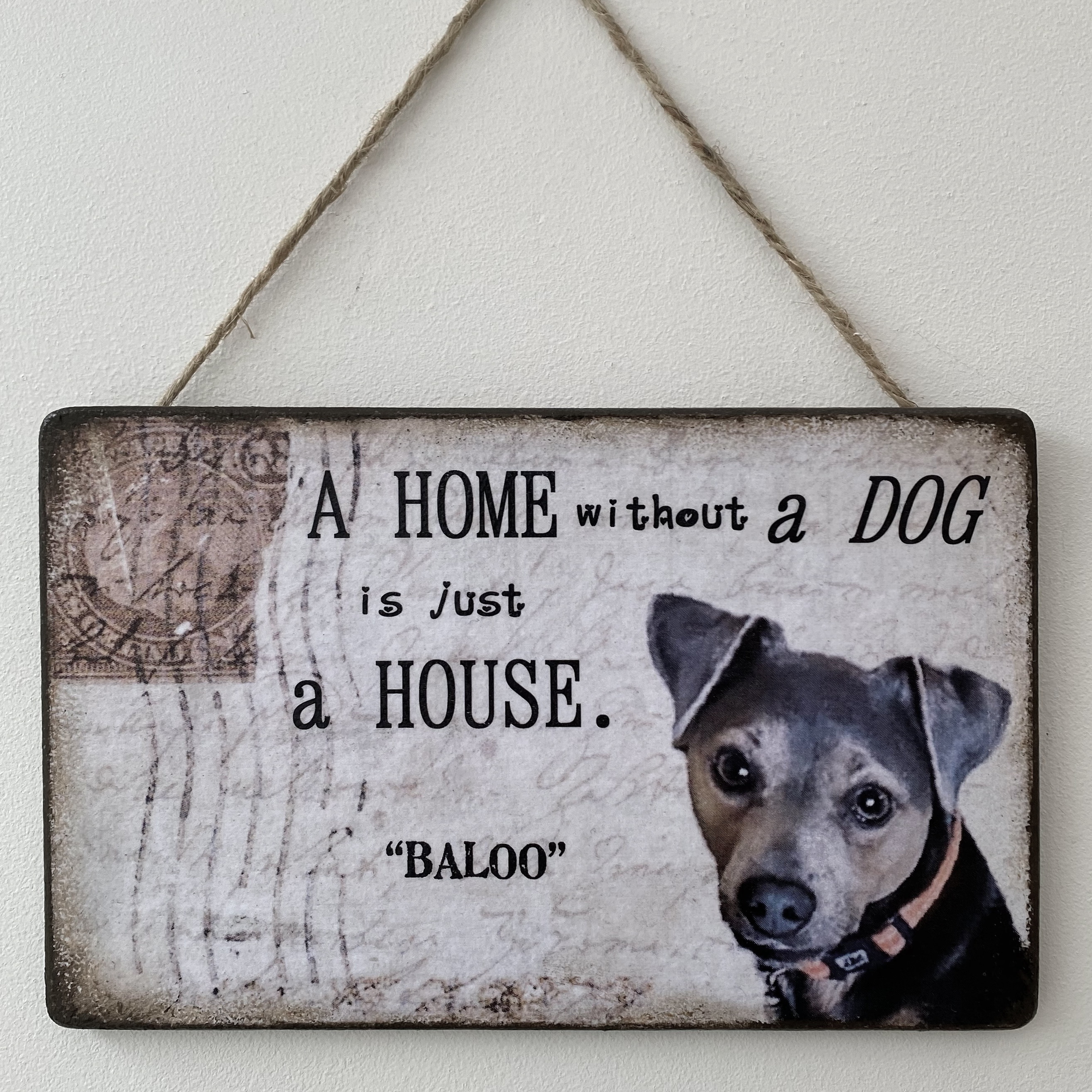 Personalised Pet Plaque - 'A Home Without ......... is Just a House'. - Image 31