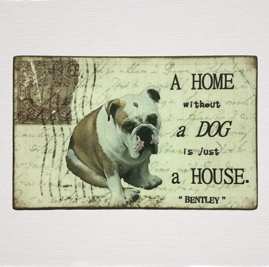 Personalised Pet Plaque - 'A Home Without ......... is Just a House'. - Image 18