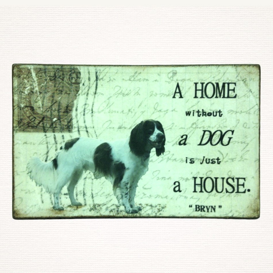 Personalised Pet Plaque - 'A Home Without ......... is Just a House'. - Image 5