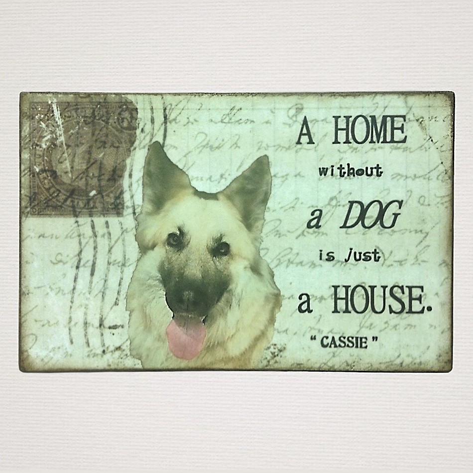 Personalised Pet Plaque - 'A Home Without ......... is Just a House'. - Image 6