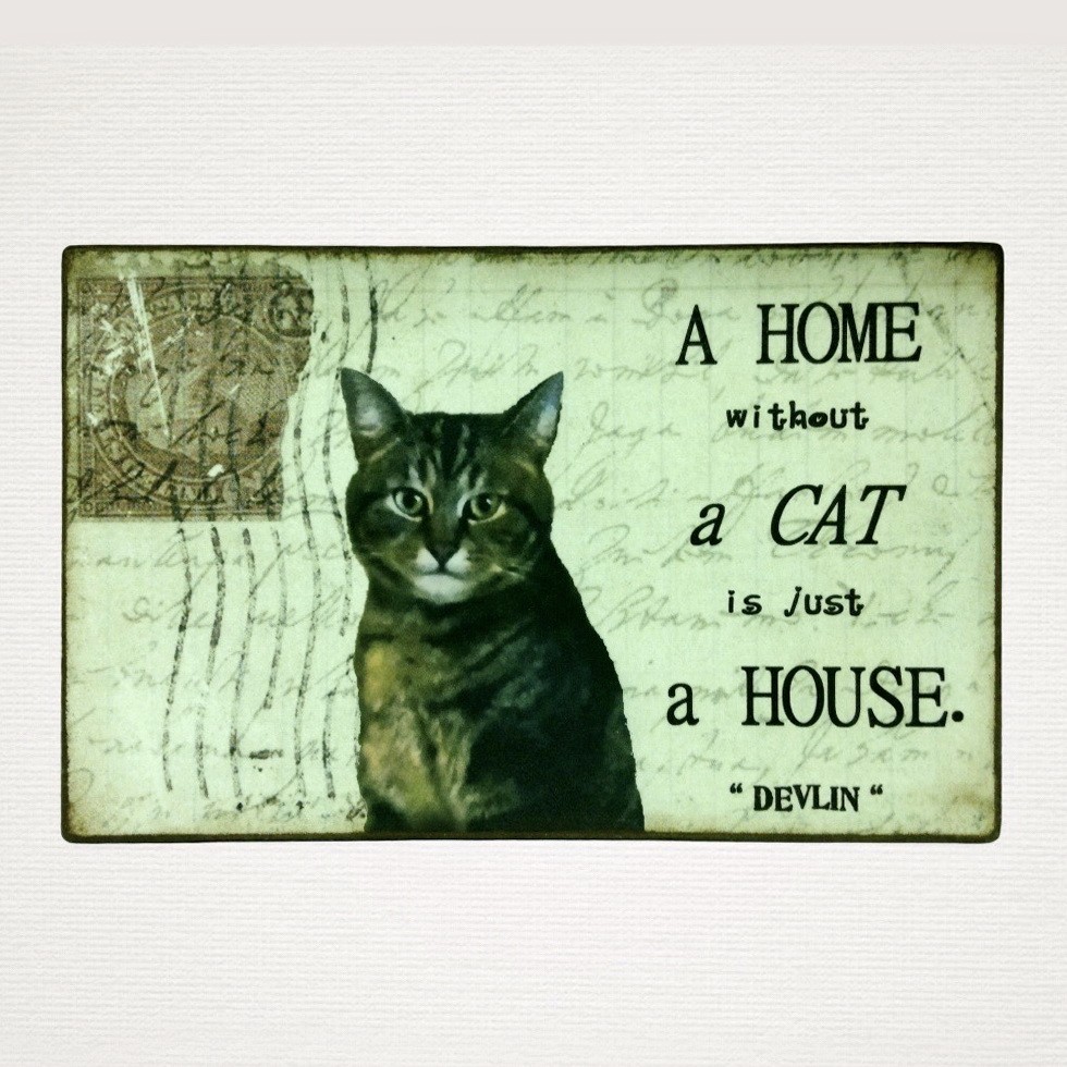 Personalised Pet Plaque - 'A Home Without ......... is Just a House'. - Image 11