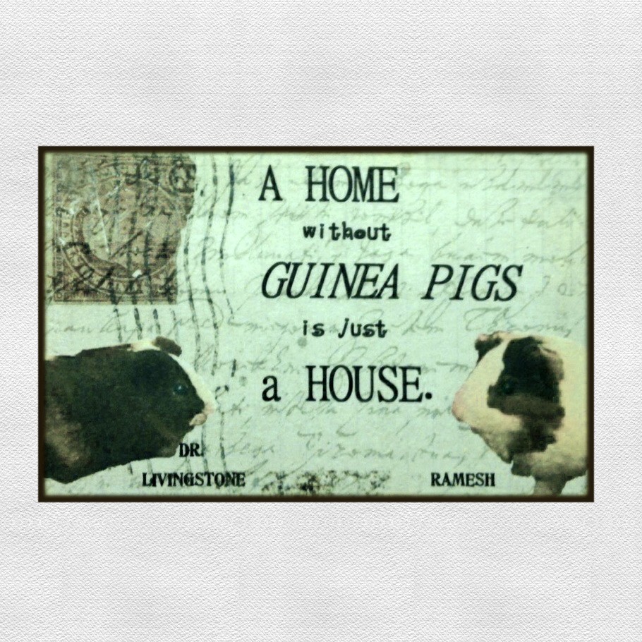 Personalised Pet Plaque - 'A Home Without ......... is Just a House'. - Image 25