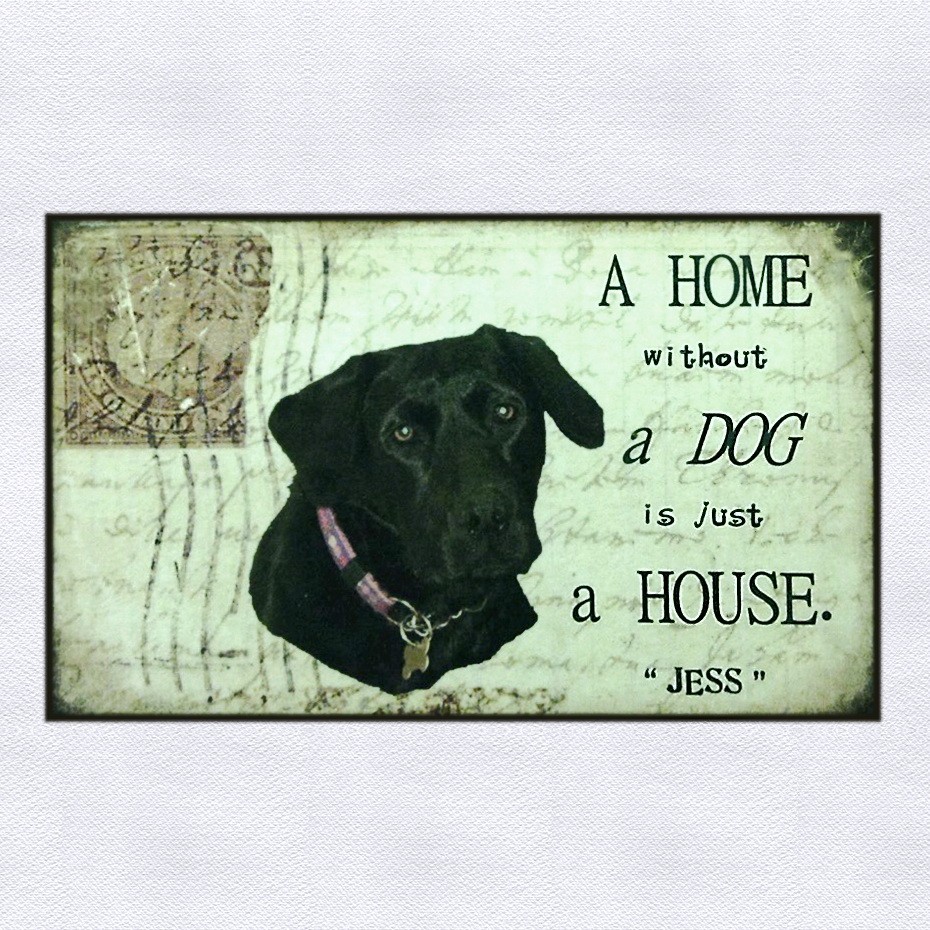 Personalised Pet Plaque - 'A Home Without ......... is Just a House'. - Image 3