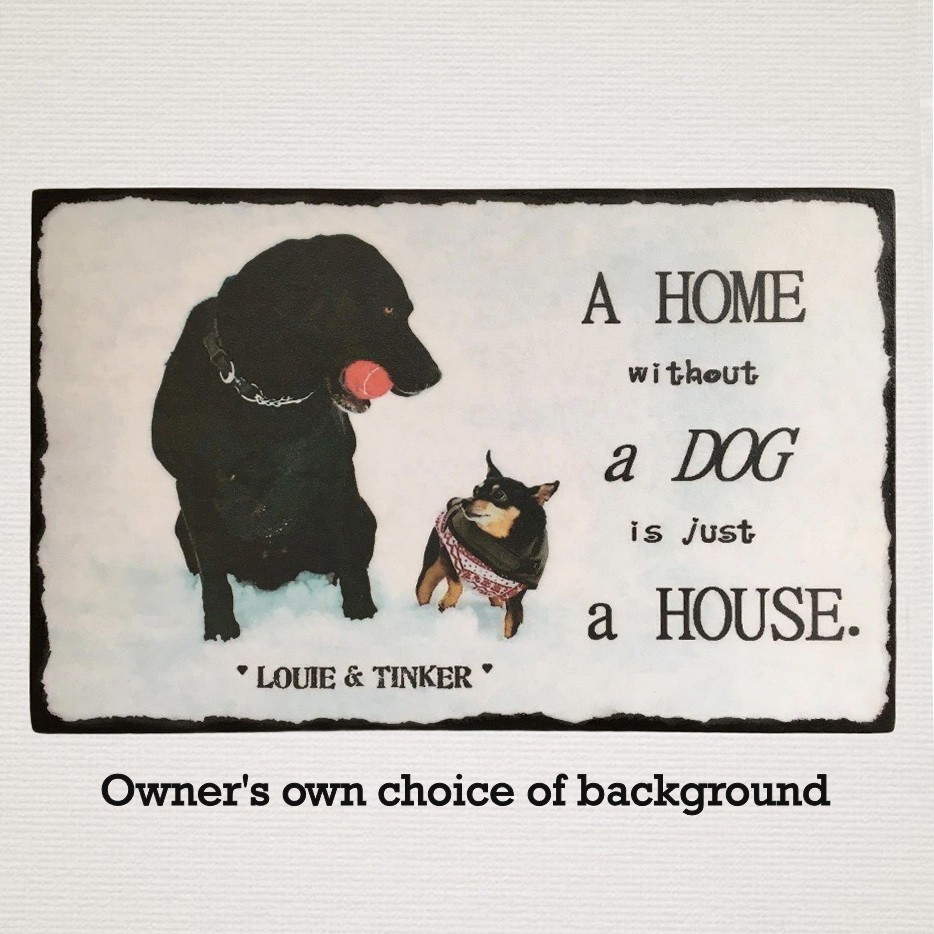 Personalised Pet Plaque - 'A Home Without ......... is Just a House'. - Image 15