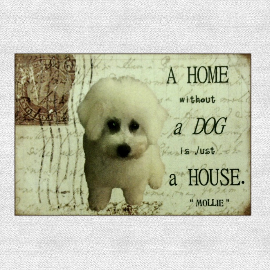Personalised Pet Plaque - 'A Home Without ......... is Just a House'. - Image 12