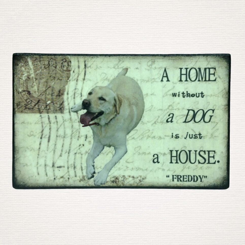 Personalised Pet Plaque - 'A Home Without ......... is Just a House'. - Image 9