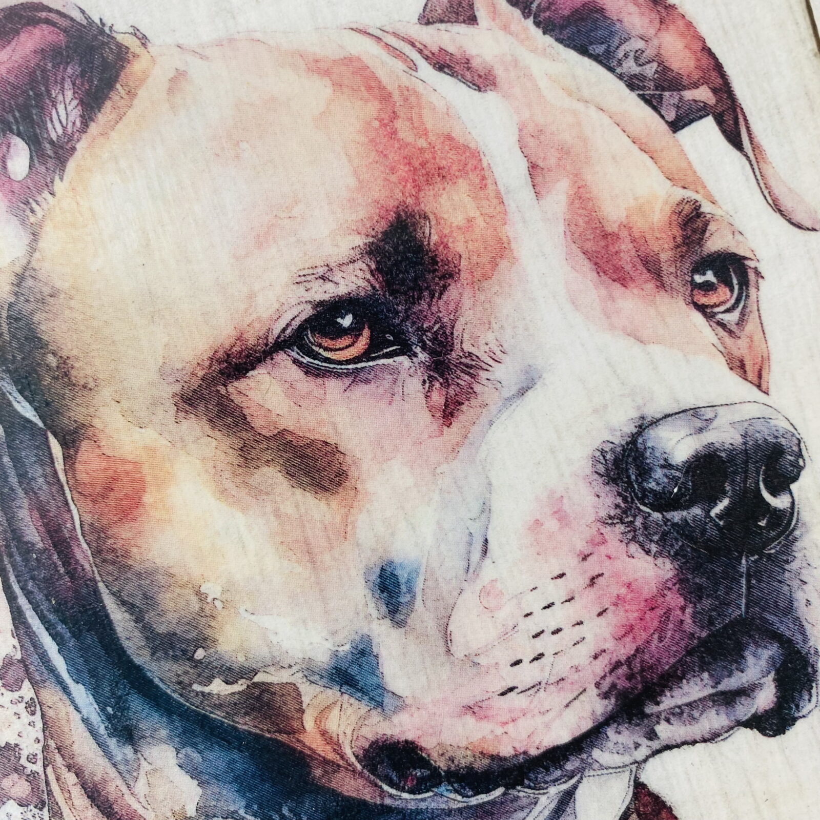 Water Colour Paint Effect Plaque - Dog Breeds - Staffordshire Bull Terrier - Image 4