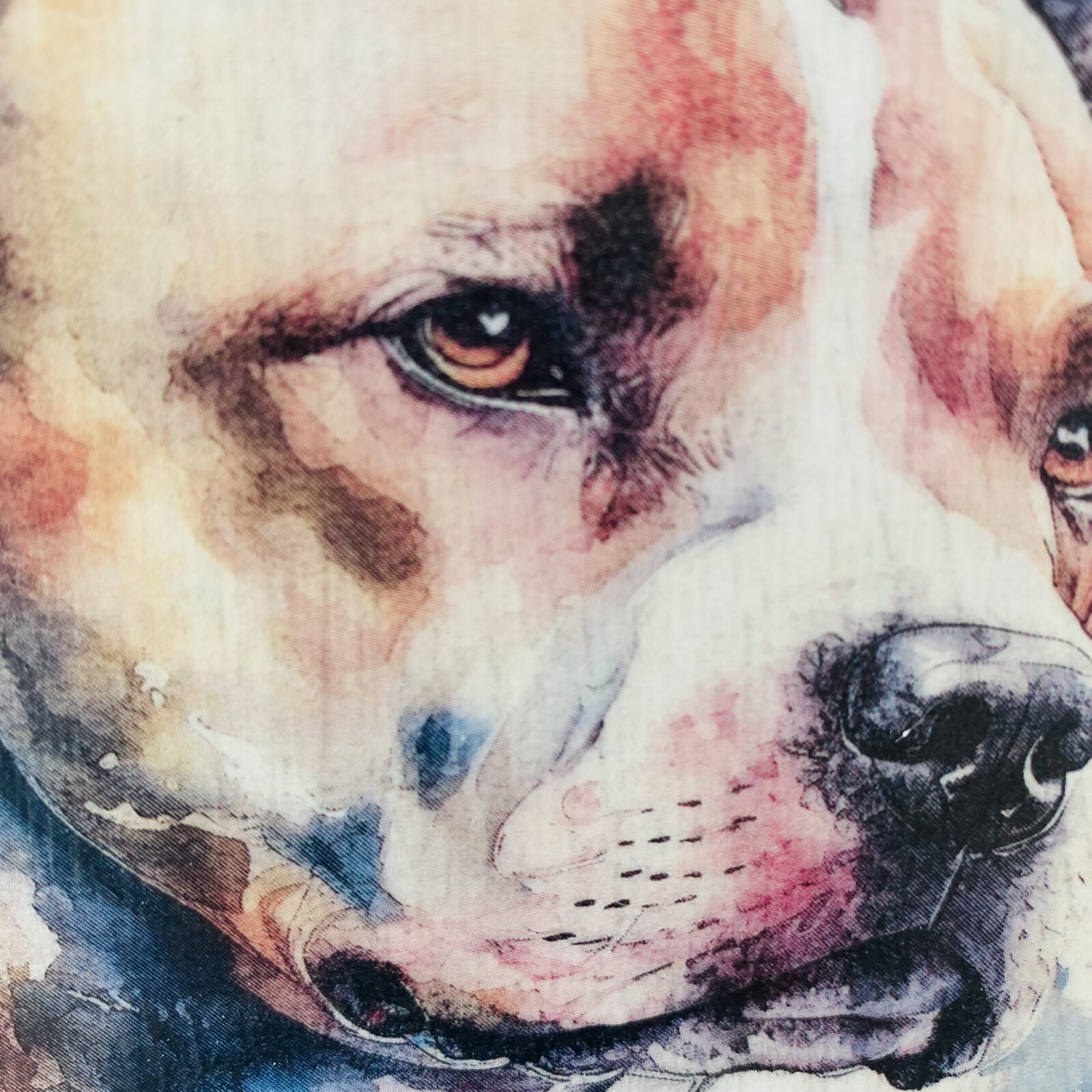 Water Colour Paint Effect Plaque - Dog Breeds - Staffordshire Bull Terrier - Image 5