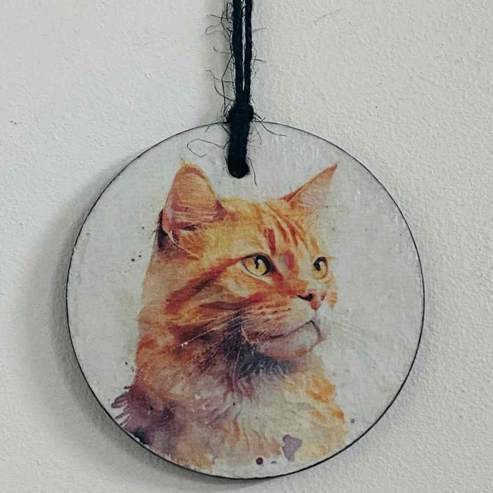 Water Colour Paint Effect Slate Circle - Cats - Ginger