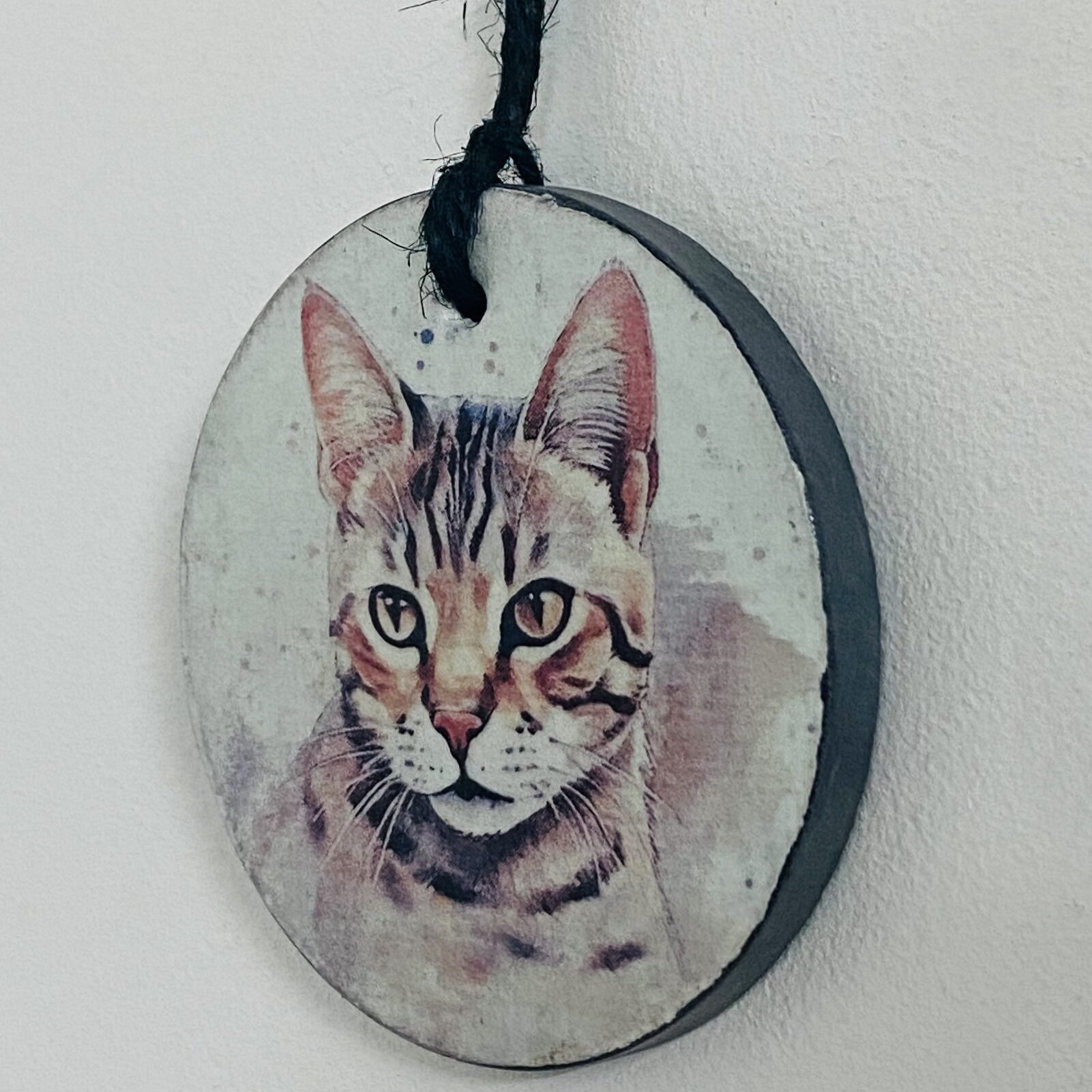 Water Colour Paint Effect Slate Circle - Cats - Tabby (3 Designs) - Image 9