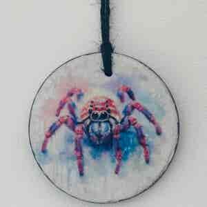 Water Colour Paint Effect Slate Circle - Tarantula Spider