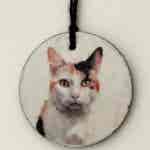 Water Colour Paint Effect Slate Circle - Cats - Calico